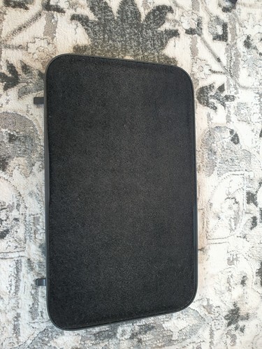 Scenic rear floor door - rear,