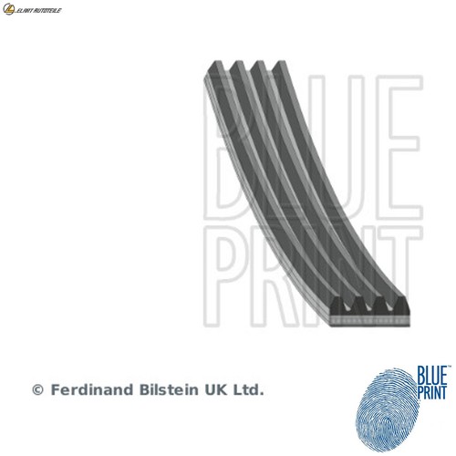 Ribbed belt ad04r925 - ad04r925, for