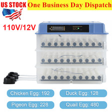 Automatic Eggs Incubator 192