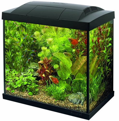 Superfish start complete - superfish,