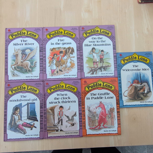 Ladybird puddle lane book - puddle,