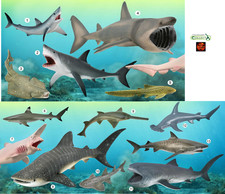 Shark Toy Model Figures by