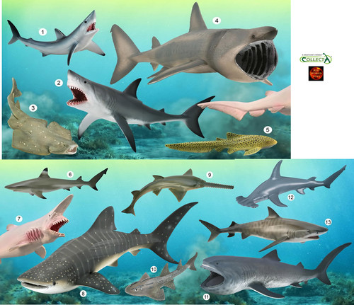 Shark toy model - toy, by