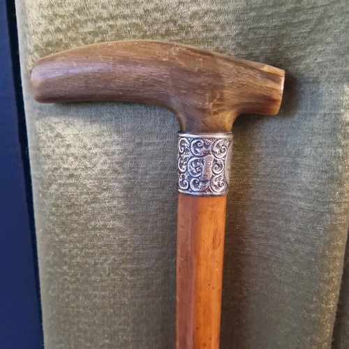 Antique walking stick silver - antique,