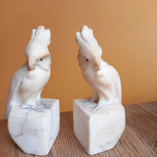 Vintage white stone cockatoo - stone,