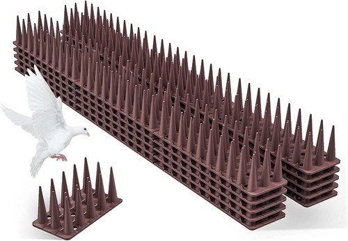 Cat bird repellent - cat,