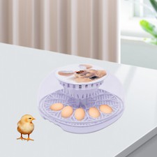 Digital egg incubator - 12-egg,