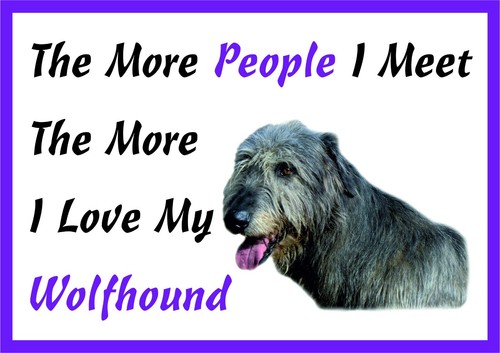 The more love - the, my