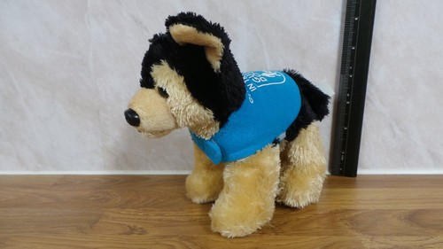 German shepherd guide dog - guide,