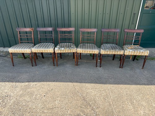Antique wooden dining chairs - antique, x