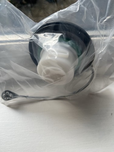 Ford focus petrol filler - petrol,