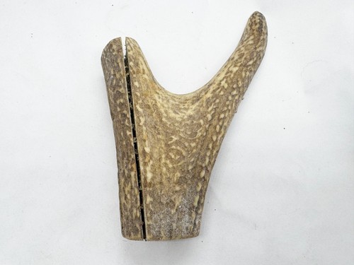 Natural antler deer horn craft - natural,
