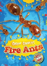 Fire Ants by Kari Schuetz