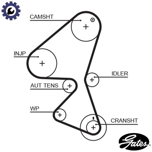 Timing belt 5587xs for peugeot - timing,