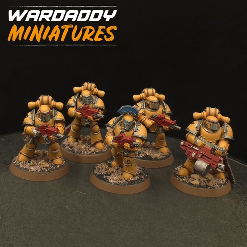 Pro painted warhammer 40k - pro,