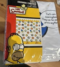2005 The Simpsons Vinyl Shower