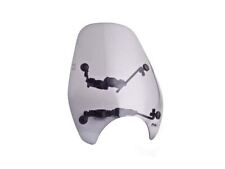 Puig Light Smoke Custom I