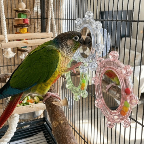 Spinning puzzle bird mirror - spinning,