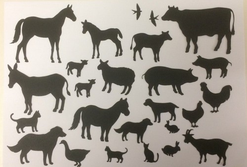 Farm animals cow pig - 25,