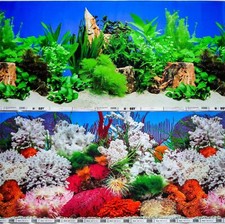 Aquarium fish tank background - aquarium,