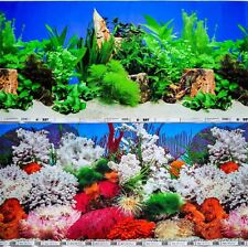 Aquarium Fish Tank Background