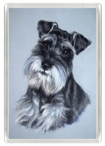 Schnauzer dog fridge - schnauzer,