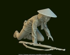 Scale viet cong - scale, soldier