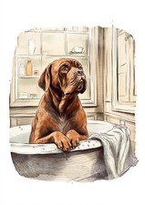 0_Dogue de Bordeaux in bath