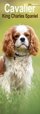 Cavalier King Charles Spaniel 2026 Slim Wall Calendar Official