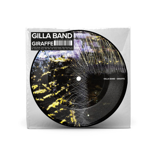 Gilla band giraffe 7 - |,
