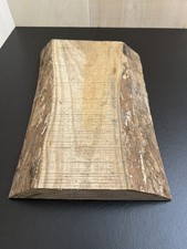 Live Edge Solid Elm Board