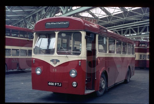 Original bus slide - bus,