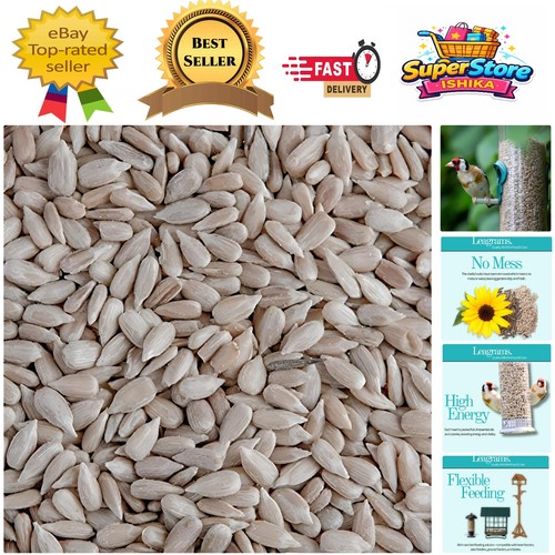 Mess 5kg bag sunflower - no,