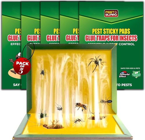 Pack pest trap boards - 20,