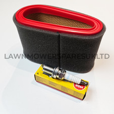 Air Filter & Spark Plug fits