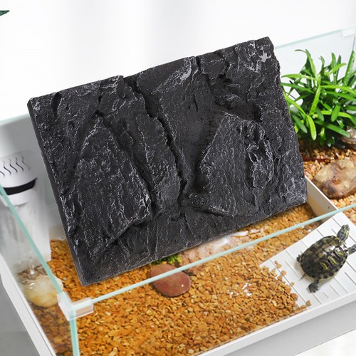 Terrarium background aquarium - terrarium,