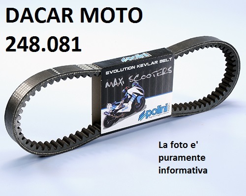 248 081 variator belt polini - variator,