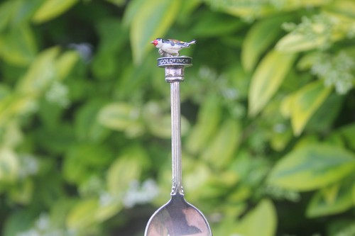 Vintage spoon goldfinch bird - spoon,
