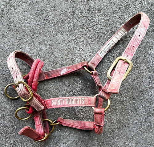 Monty roberts horse - roberts,