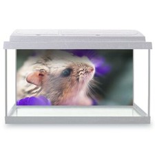 Fish tank background 90x45cm - 90x45cm,