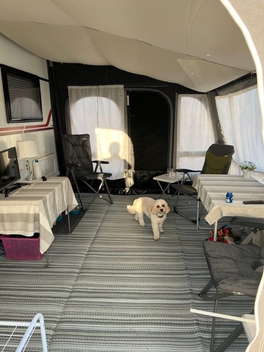 Dometic continental carpet - continental,