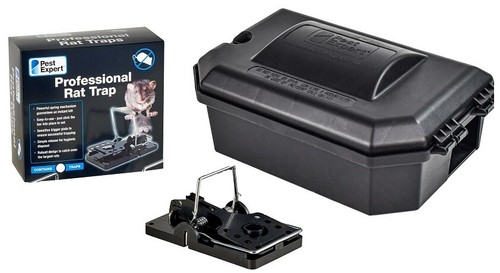 Pest expert rat - rat, trap