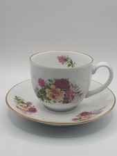 Royal Worcester Evesham Porcelain Tea Cup and Saucer Gold Rim