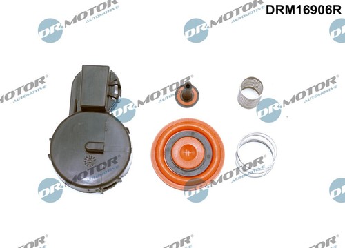 Membrane crankcase - membrane,,