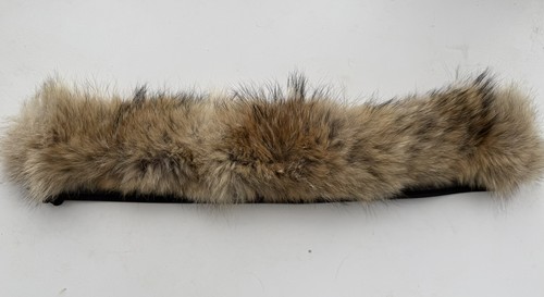 Canada goose genuine coyote - ,