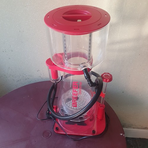 Red sea skimmer - red,