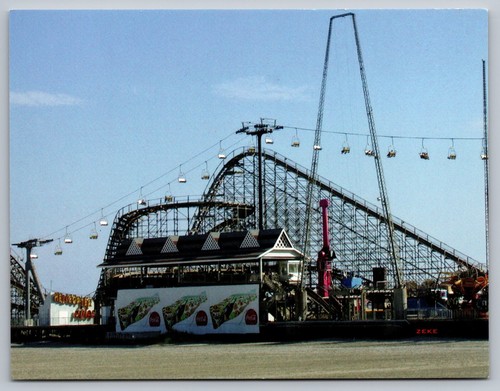 Wildwood great white roller - wildwood,