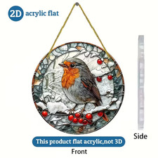 Robin Red Bird on Snowy Branch