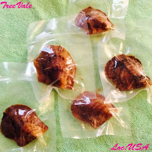 Five individually wrapped - five,