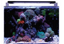 Blue Marine 120 Brand New Tank